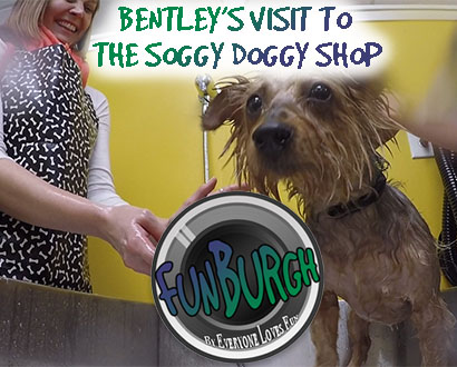 Bentley Visits the Soggy Doggy Shop